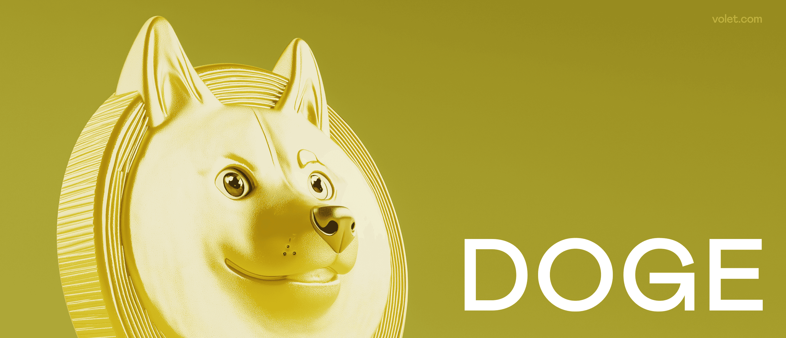 Dogecoin: The Pioneer of Meme Coins: Volet.com