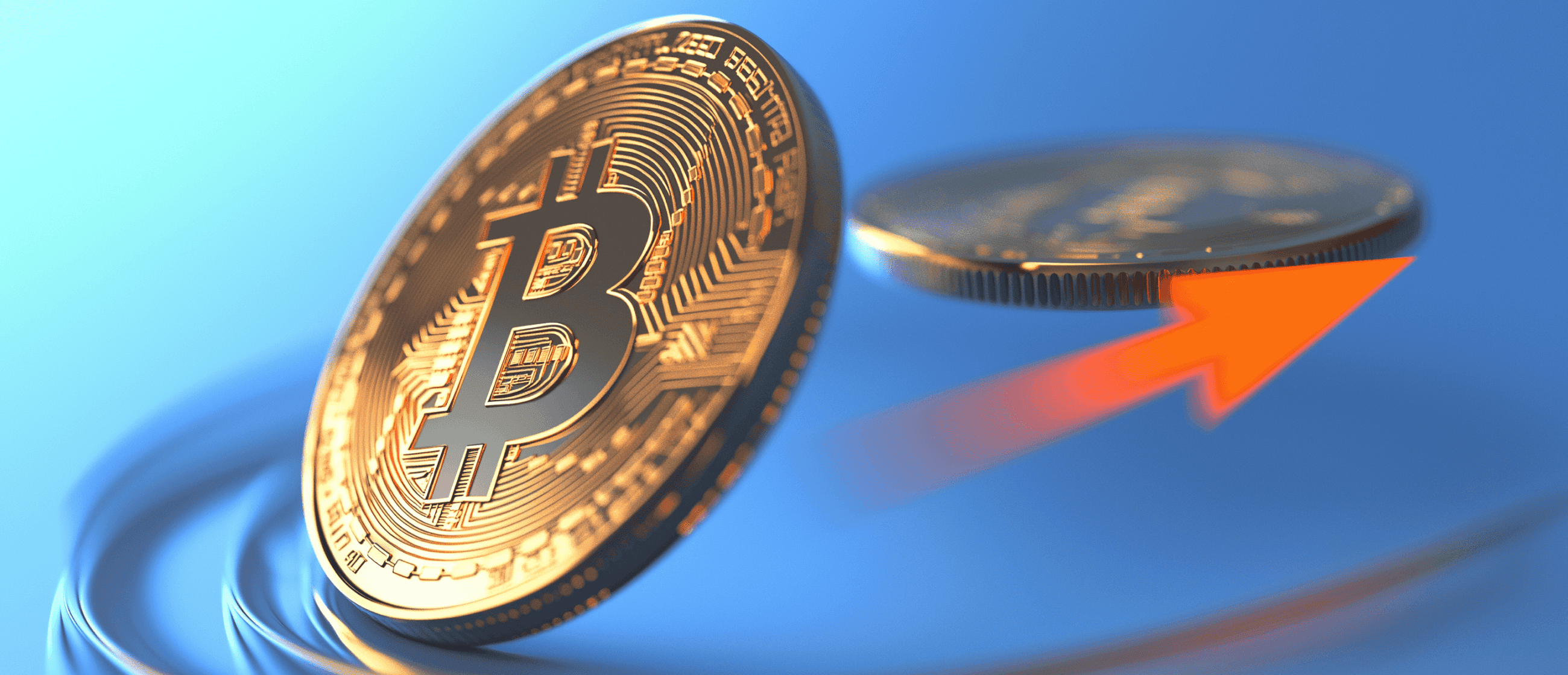 Senden Sie Bitcoin sofort: Der schnellste Weg, Kryptowährung zu übertragen:  Volet.com