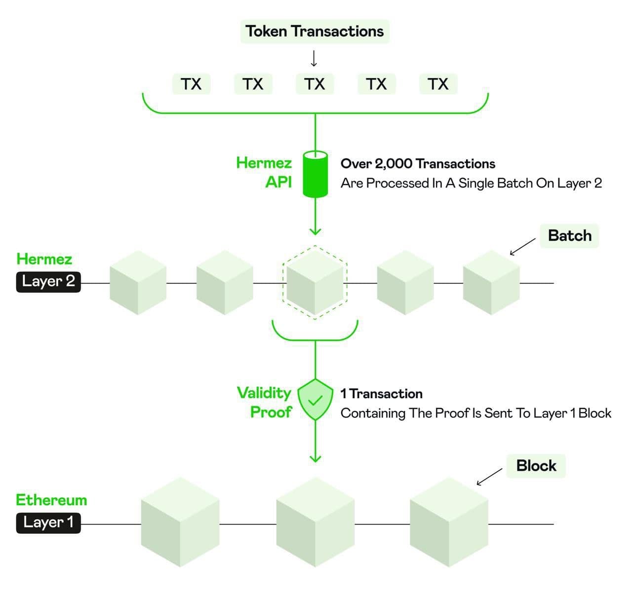 Which Crypto Will Explode in 2025? Top 7 Coins to Watch for Massive Gains:  Volet.com